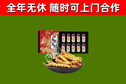 阳江市回收冬虫夏草价格